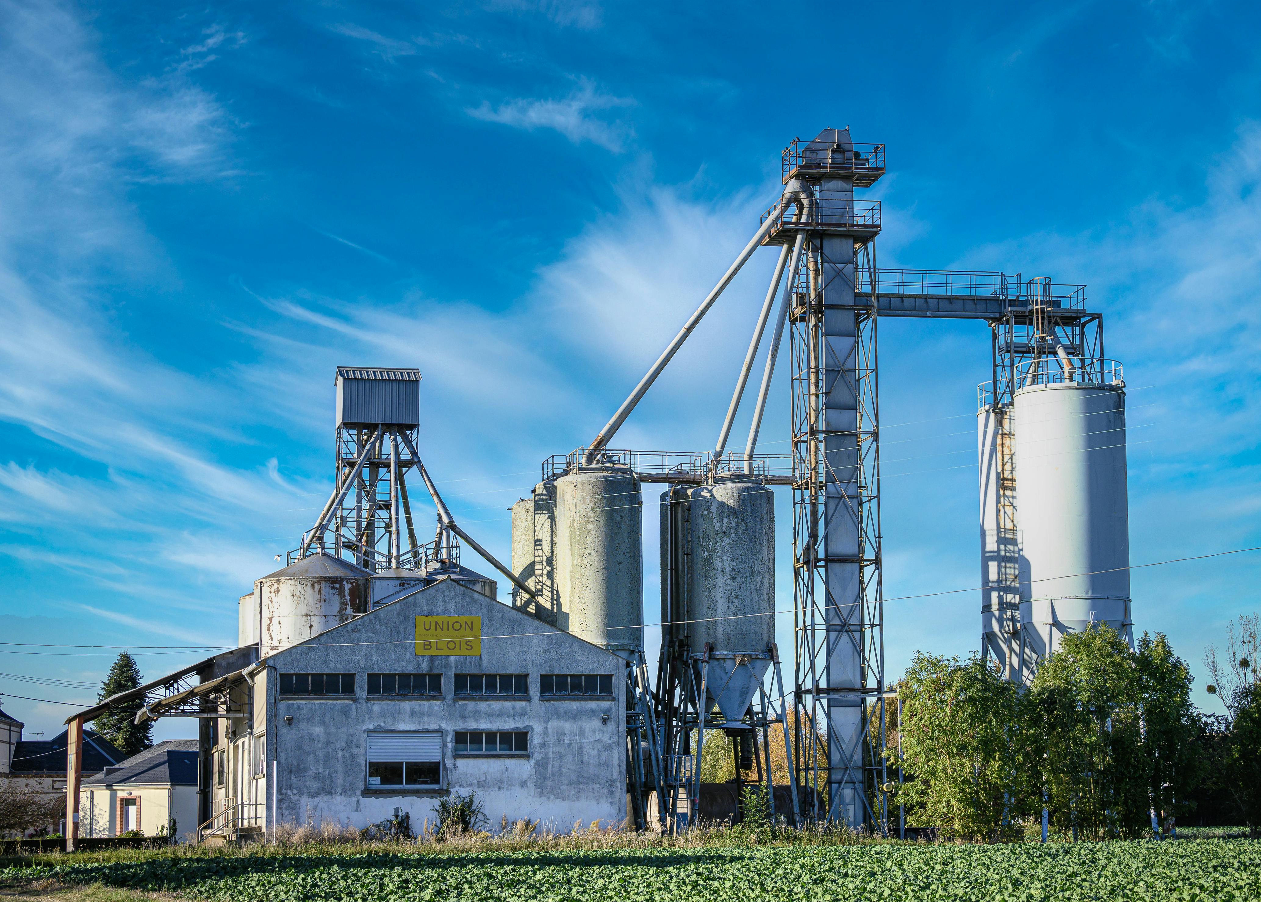 Crisis económica, estado del bienestar y democratización