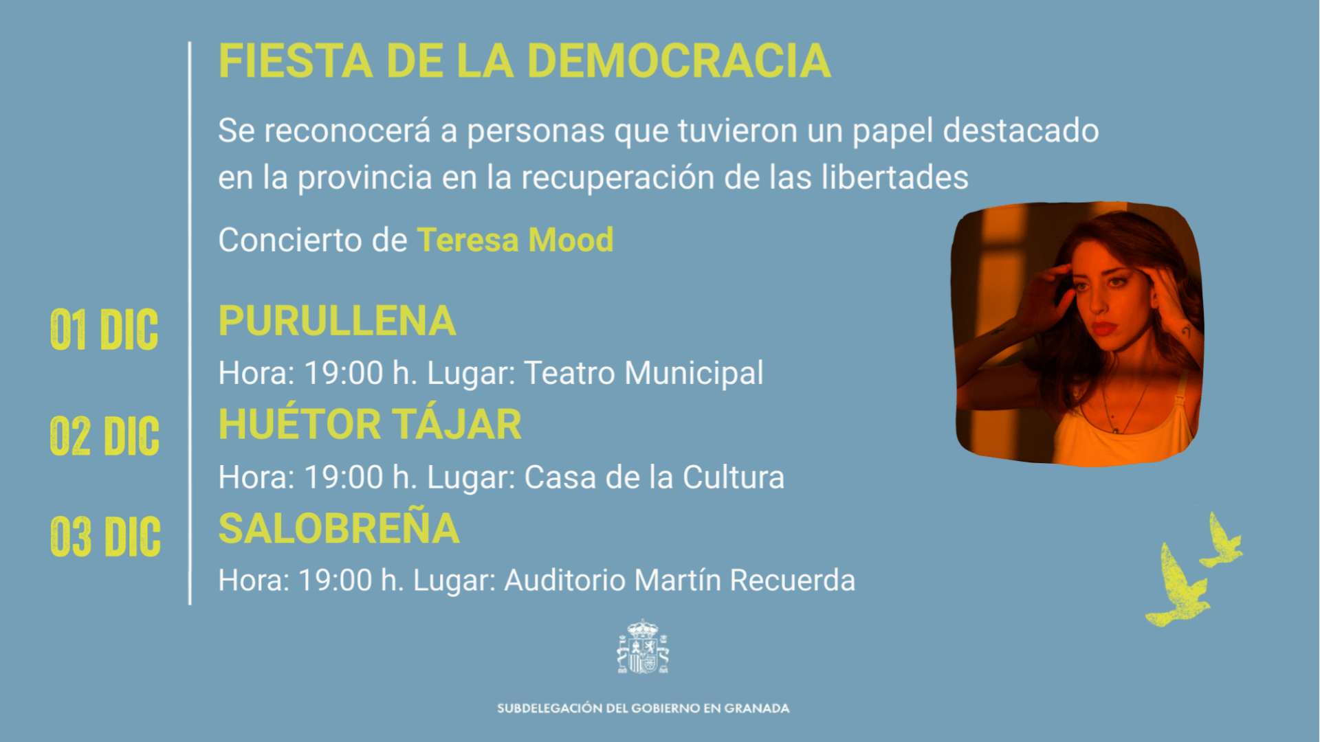 Fiesta de la democracia 