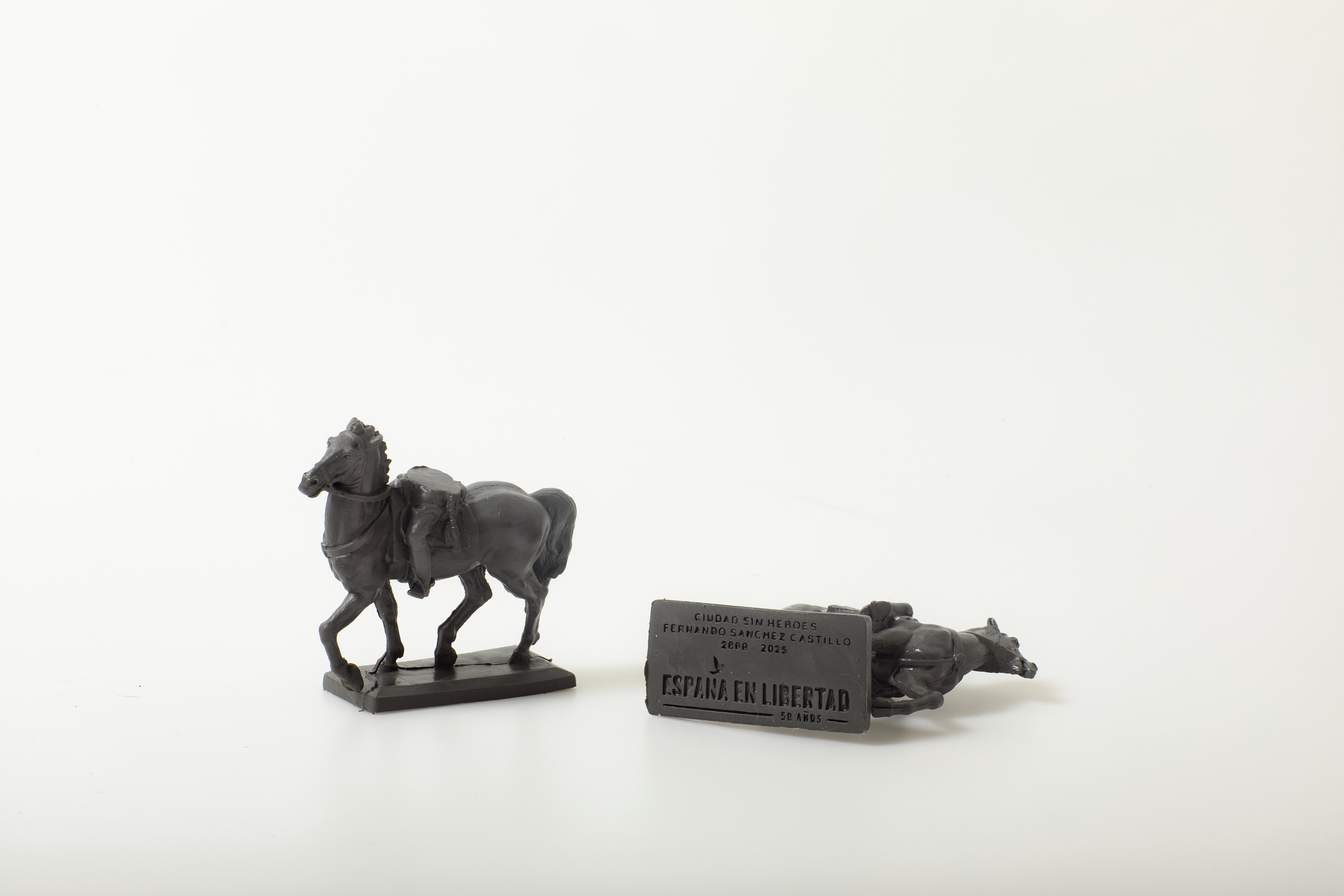 LIBRE actividad para web 