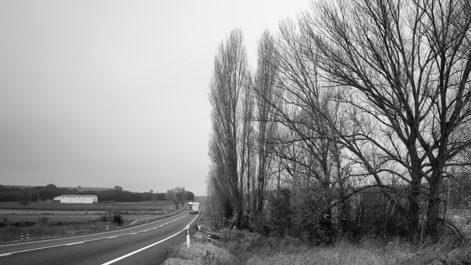 Imagen El elocuente silencio del paisaje